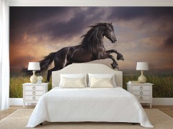Fotobehang van zwart steigerend paard